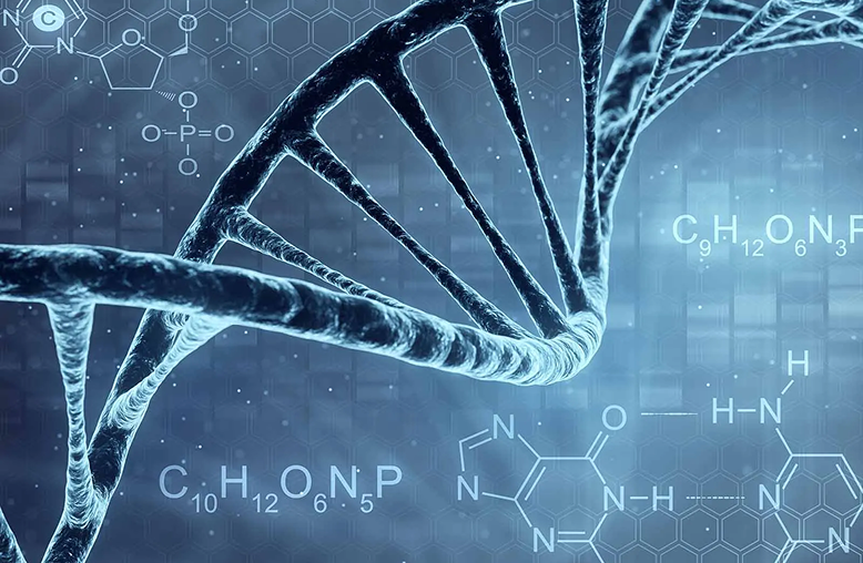 High Intensity and Ultra-Pure dNTPs, NTPs and Modified Nucleotides