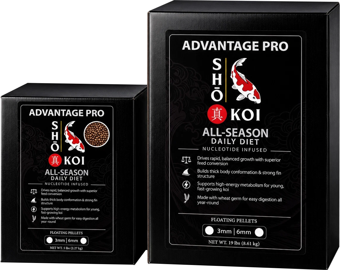 Sho Koi Advantage Pro All Season Daily Fish Food